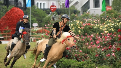 Sun World Fansipan Legend tổ chức mùa giải Vó ngựa trên mây 2023
