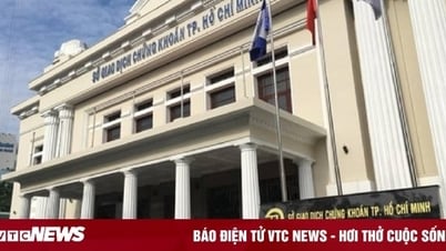 Impersonating Ho Chi Minh City Stock Exchange to attract investors