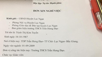 60% số giáo viên nghỉ việc dưới 35 tuổi