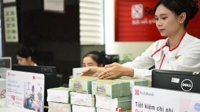 Ngân hàng tiên phong đón đầu làn sóng kinh tế xanh lam