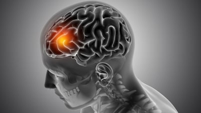 Giải mã hiện tượng déjà vu