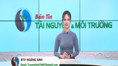Bản tin Truyền hình TN&MT số 51/2023 (số 333)