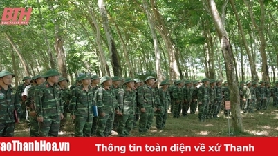Tho Xuan បញ្ចប់សមយុទ្ធតំបន់ការពារនៅឆ្នាំ 2023