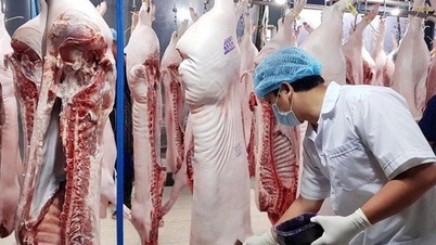 Vì sao đề xuất bổ sung thịt lợn vào danh mục bình ổn giá?