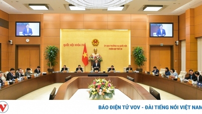 Ủy ban Thường vụ Quốc hội cho ý kiến về việc giải trình, tiếp thu, chỉnh lý dự á