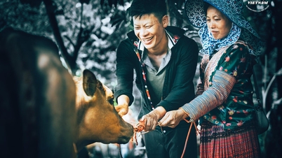 The joy of giving and receiving livelihoods