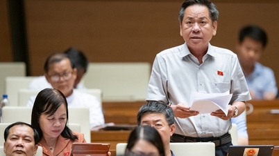Bệnh “sợ trách nhiệm” đang lây lan từ ngành y sang ngành nghề khác