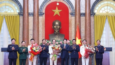 The President presented the decision to appoint Deputy Chief Justice of the Supreme People's Procuracy.