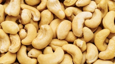 Cashew industry and new export record
