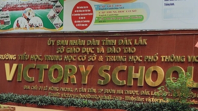 Chậm nộp học phí 2 ngày, học sinh bị hủy kết quả trúng tuyển lớp 10