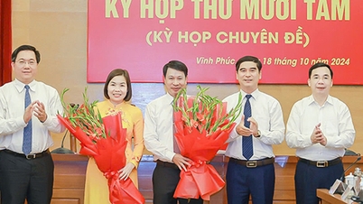Vinh Phuc មានអនុប្រធានគណៈកម្មាធិការប្រជាជនខេត្តថ្មីចំនួន ២រូប