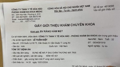 Treo giò không thời hạn cầu thủ hành hung trọng tài, đội chủ quản bị phạt tiền