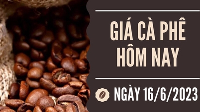 Tăng gần 2.000 đồng/kg, sát ngưỡng 67.000 đồng/kg