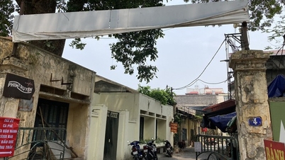 Hãng phim truyện Việt Nam nợ thuế 5,5 tỉ, chủ tịch bị hoãn xuất cảnh