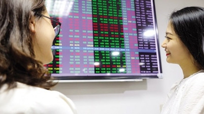 Navibank Securities (NVS) ត្រូវបានផ្តាច់សម្រាប់រយៈពេល 13 នាទីពី HNX នៅក្នុងវគ្គជួញដូរដំបូងនៃឆ្នាំនេះ។