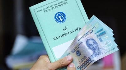 How do social insurance benefits change?