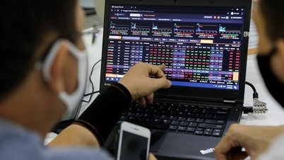 Two companies fined