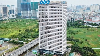 Tập đoàn FLC giải trình gì về việc thêm 15 người liên quan bị khởi tố?
