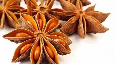 ការនាំចេញគ្រឿងទេសពិសេស វៀតណាមរកចំណូលបានរាប់សិបលានដុល្លារ