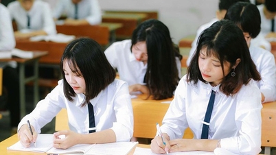 Gần 6.500 thí sinh dự thi Kỳ thi chọn học sinh giỏi quốc gia THPT năm học 2024-2025