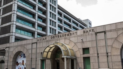 ADB Việt Nam có giám đốc mới người Ấn Độ