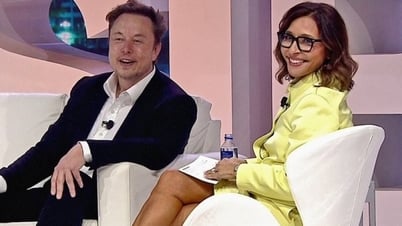 Tỷ phú Elon Musk tìm được CEO Twitter mới