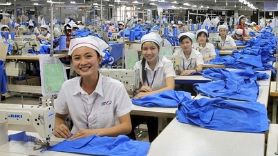 nhiều hoạt động hướng về người lao động trong Tháng Công nhân
