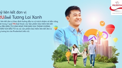Việt Nam có sản phẩm bảo hiểm liên kết đơn vị với quỹ đầu tư đóng góp vào phát triển bền vững