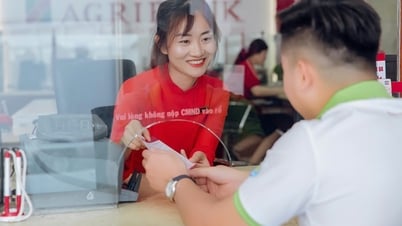 TP. Hồ Chí Minh: Xây dựng nông thôn mới có dư nợ hơn 84 ngàn tỷ đồng