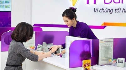 ធនាគារ TPBank បានវិនិយោគជាង 100 ពាន់លានដុង ដើម្បីទទួលបានការគ្រប់គ្រងមូលនិធិ Viet Cat