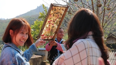 Unique paper paintings of H'Mong people in Son La attract tourists