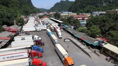 Đối tác thương mại lớn nhất và thị trường xuất khẩu lớn thứ hai của Việt Nam