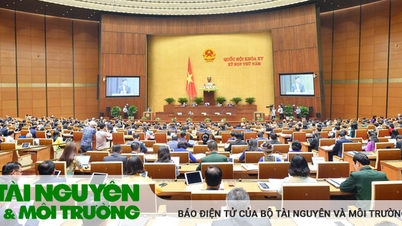Mặt trận Tổ quốc Việt Nam kiến nghị nghiên cứu kỹ ý kiến góp ý của Cử tri và Nhân dân đối với Dự thảo Luật Đất đai (sửa đổi)