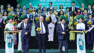 Tập đoàn TH: Doanh nghiệp có số lượng kỷ lục sản phẩm đạt Thương hiệu quốc gia