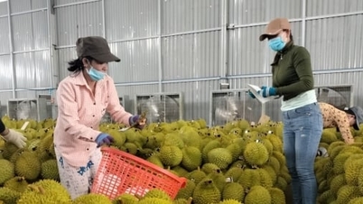 តម្លៃធូរេនគឺខ្ពស់។