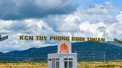 Agribank sắp đấu giá khoản nợ gần 500 tỷ đồng của một công ty đá quý