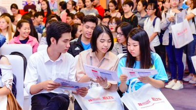 More units are linked to organize international language certification exams