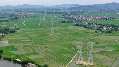 Dấu ấn dự án đường dây 500kV mạch 3