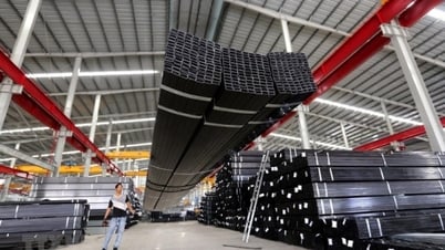 Chuyên gia Nguyễn Minh Phong: Nhận thức của doanh nghiệp về phòng vệ thương mại là chưa tới