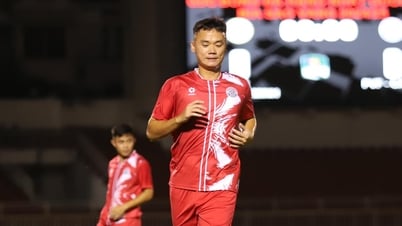 Xuân Nam và Văn Sơn đều bị treo giò 4 trận, trưởng đoàn PVF-CAND cũng bị phạt nặng