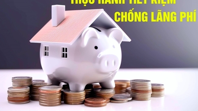 Quy chế tổ chức và hoạt động của Ban Chỉ đạo phòng, chống lãng phí