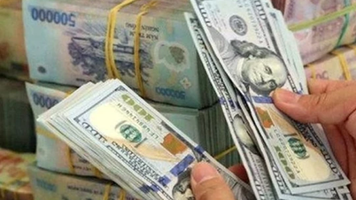 Giá ngoại tệ ngày 11/12/2024: USD tiếp tục xu hướng tăng nhẹ