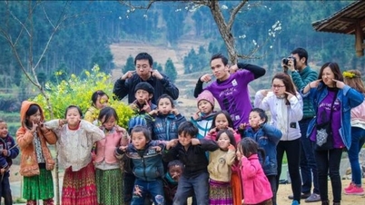 និន្នាការទេសចរណ៍ស្ម័គ្រចិត្ត