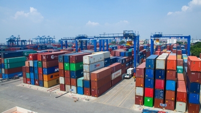 Many Vietnamese businesses fall into international fraud traps