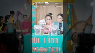 Pham Thoai អមដំណើរ និងណែនាំអាជីពអ្នកបង្កើតវ័យក្មេង