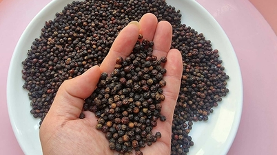អ្នក​ដាំ​ម្រេច​ចំណេញ​ច្រើន ខណៈ​តម្លៃ​ឡើង​ថ្លៃ