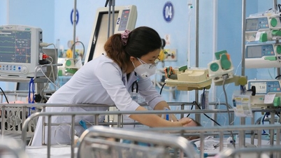 Cấp phép nhập khẩu thuốc cho nhu cầu điều trị đặc biệt