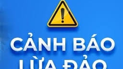 Warning of new fraud tricks in international trade
