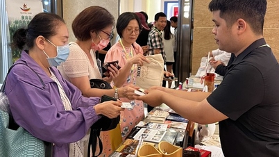 Giới thiệu du lịch Thừa Thiên Huế - Đà Nẵng
