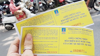 Bảo hiểm xe máy bắt buộc 2023: Những điều cần biết